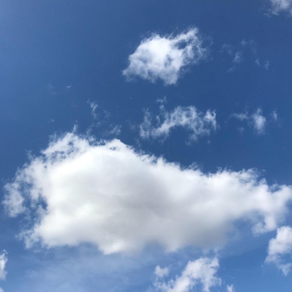 Meet your Posher, Erika